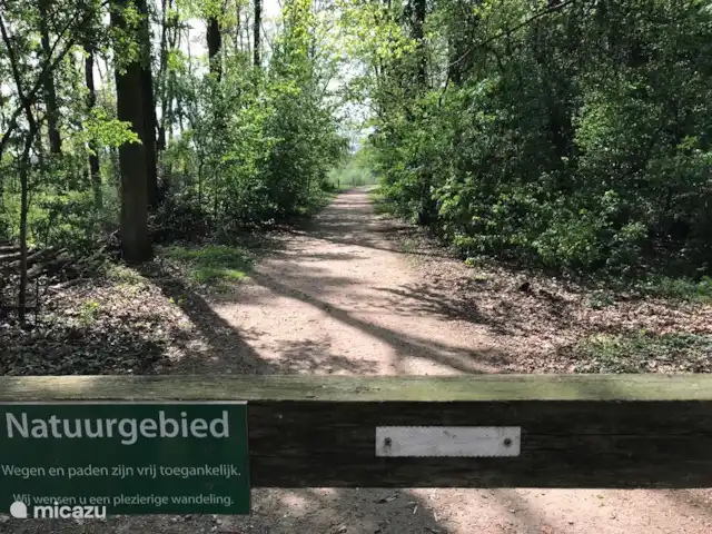 Lievelde ligt op één van de mooiste plekjes die de Achterhoek rijk is. Omgeven door de groene rust van uitgestrekte bossen en weilanden en historische plaatsjes. Startpunt voor diverse fietsroutes en wandelroutes. In onze woning ligt een map met veel fiets- en wandelroutes in de omgeving.